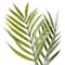 Tropical Palm Stem by Ashland®